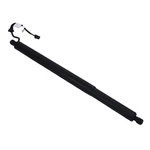 81831-S9100 For Kia Telluride Rear Trunk Tailgate Liftgate Power Strut Shock Set New. Price: $219.99.