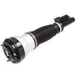 Suspension Shock Air Strut Front For Mercedes-benz S320 S350 S420 S430 S500 S600 New. Price: $145.09.