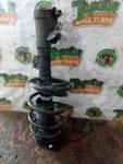 Passenger Right Strut Front Fits 14-18 Lexus ES300H 3842983 Used. Price: $155.99.