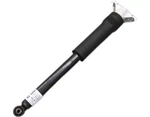 Gm Shock Absorber Asm-rr W/up 39136839 New Oem. Price: $73.15.