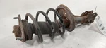 Driver Left Strut Front Fits 10-13 Kia Forte Oem Used. Price: $46.01.