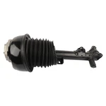 Front Right Air Suspension Strut Fits Mercedes-benz E250 E350 E400 E63 Amg Rwd New. Price: $243.90.