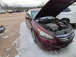 Steering Column Floor Shift Fits 08-12 Accord 2707461 Used. Price: $171.25.