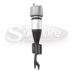 2017-2019 Mercedes E43 Amg 4MATIC Front Left Airmatic Suspension Strut New. Price: $515.18.