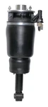 Westar Air Suspension Strut As 7315 New. Price: $710.34.