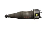 10-19 Jaguar X351 Xjl Rear Left Driver Side Air Shock Absorber Strut Oem Used. Price: $120.00.