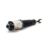 Bentley Continental Arnott Front Left Air Suspension Strut AS-2893 3D0616039AC New. Price: $1132.00.