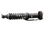 03-06 Mercede SL500 Front Right Hydraulic Shock Strut Absorber 2303202813 Oem Used. Price: $198.00.