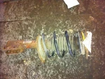 98-02 Oldsmobile Intrigue Front Strut Used. Price: $54.43.