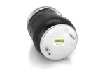 Bswparts Air Spring Bag Replaces 681-320-0017, 1R12-603 Firestone W01-358-9781. Price: $73.49.