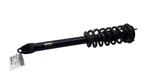 2012-2020 Tesla Model Front Left Right Shock Strut Absorber 1015619-00-C Used. Price: $148.07.