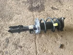 Driver Left Strut Front Sedan Fits 19-21 Forte 1876603 Used. Price: $129.89.