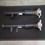 Bmw G20 M340I Xdrive Adaptive Pair Of Rear Shock Absorber Struts Oem Used. Price: $200.00.