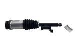 19-20 Tesla Model Mx Rear Left Air Spring Module (adaptive) Awd 1027062-00-C Used. Price: $346.16.