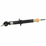 Suspension Absorber-shock New Motorcraft Fits 15-17 Ford F-150. Price: $177.95.