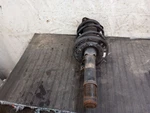 Driver Strut Front Naturally Aspirated Fits 19-21 Civic 2965900 Used. Price: $103.55.