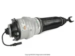 Audi A8 Quattro (2004-2010) Air Suspension Strut Front Right Arnott Industries Remanufactured. Price: $1123.25.