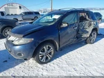 Passenger Strut Front Door Thru 6/13 Fits 09-13 Murano 1515413 Used. Price: $119.95.
