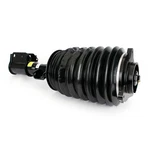 Arnott AS-3898 Air Suspension Strut For Mercedes Benz Neu. Price: $1131.21.