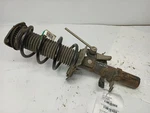 Front Passenger Right Strut From 2017 Ford Focus 11493951 Used. Price: $86.94.