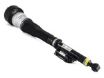 Arnott Strut Assembly Rear Passenger Right W/ Airmatic Rebuilt AS-2603 New. Price: $722.02.
