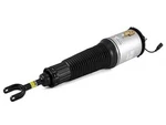 Arnott Air Strut Assembly Front Passenger Right Rebuilt AS-2560 New. Price: $876.86.
