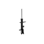 Fcs Struts 333406L Suspension New. Price: $65.35.