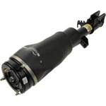 Arnott Suspension Strut Assembly Front Driver Left AS-2962 New. Price: $473.72.