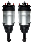 Pair Rear Suspension Strut Fit For 2005-14 LR3 LR4 Sport L319 L320 LR016402 New. Price: $199.97.