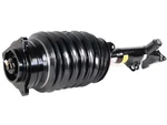 Arnott Industries Strut Assembly 2123203138 Mercedes Benz E350 E550 E63 Amg E400 New. Price: $886.42.