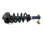 Rear Strut Standard Duty 6L1Z-18125-AB Fits 2003-2006 Ford Expedition 67057 Used. Price: $56.99.