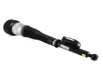 Arnott Strut Assembly Rear Driver Left W/ Airmatic Rebuilt AS-2604 New. Price: $722.02.
