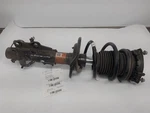 Front Passenger Right Strut From 2017 Chevrolet Camaro 11728625 Used. Price: $330.94.