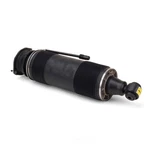 Suspension Strut Arnott SK-2485 Reman New. Price: $2542.99.