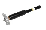 Rear Passenger Side Shock Absorber With Bumper Upper Mount And Nut (84185493) New. Price: $180.16.