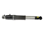 Dorman 949-036 Air Shock Absorber For Select 00-14 Cadillac Chevrolet Gmc Models New. Price: $139.00.