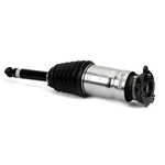 Arnott Rear Air Strut For Tesla 2016 2017 2018 2019 2020 New. Price: $849.67.