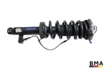 Bmw X3M X4M F97 F98 Rear Right Side Shock Absorber Strut 2020 - 2024 Oem Used. Price: $249.99.