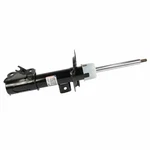 Motorcraft Suspension Strut Assembly AST-84756 New. Price: $208.48.
