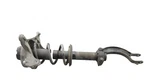 09 17 Audi A5 S5 A4 Rear Right Side Suspension Shock Absorber Strut 8F0413031B Used. Price: $84.00.