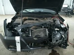 Passenger Right Strut Front Fits 13 Malibu 104645677 Used. Price: $79.05.