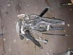 Left Rear Suspension Assy W/shock 12-14 Mercedes C-class C220 11383 Used. Price: $240.00.
