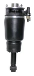 Suspension Strut Assembly Westar AS-7315 New. Price: $516.75.
