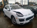 Driver Strut Front Air Suspension Turbo Model Fits 11-18 Porsche Cayenne 6982716 Used. Price: $219.98.