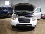 Passenger Right Strut Front Fits 07-09 Santa Fe 2150077 Used. Price: $85.00.