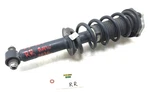 2018-2023 Bmw X3 G01 Awd Right Passenger Rear Spring Strut Shock Oem. Used. Price: $149.99.