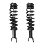 Suspension Strut Assembly Kit Unity 2-11620-001 New. Price: $142.95.